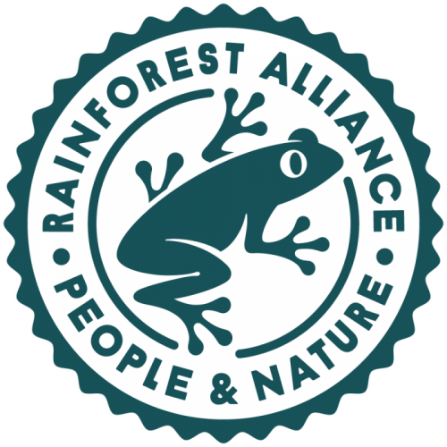 rainforest-logo.png